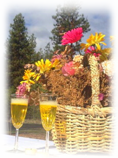 Lozeau Lodge Modern Rustic Cabins & Event Center Montana